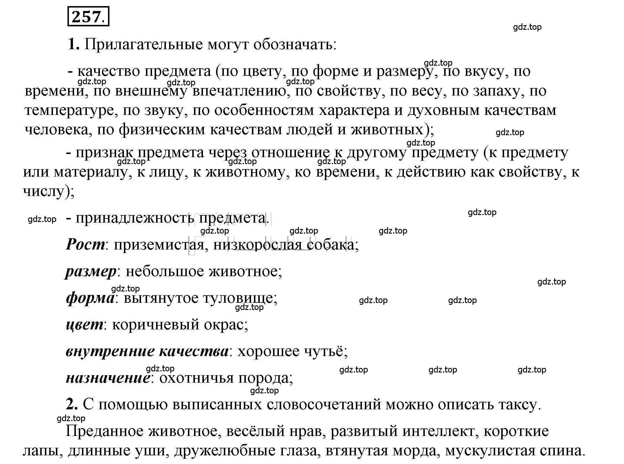 Решение 2. номер 257 (страница 205) гдз по русскому языку 6 класс Быстрова, Кибирева, учебник 1 часть