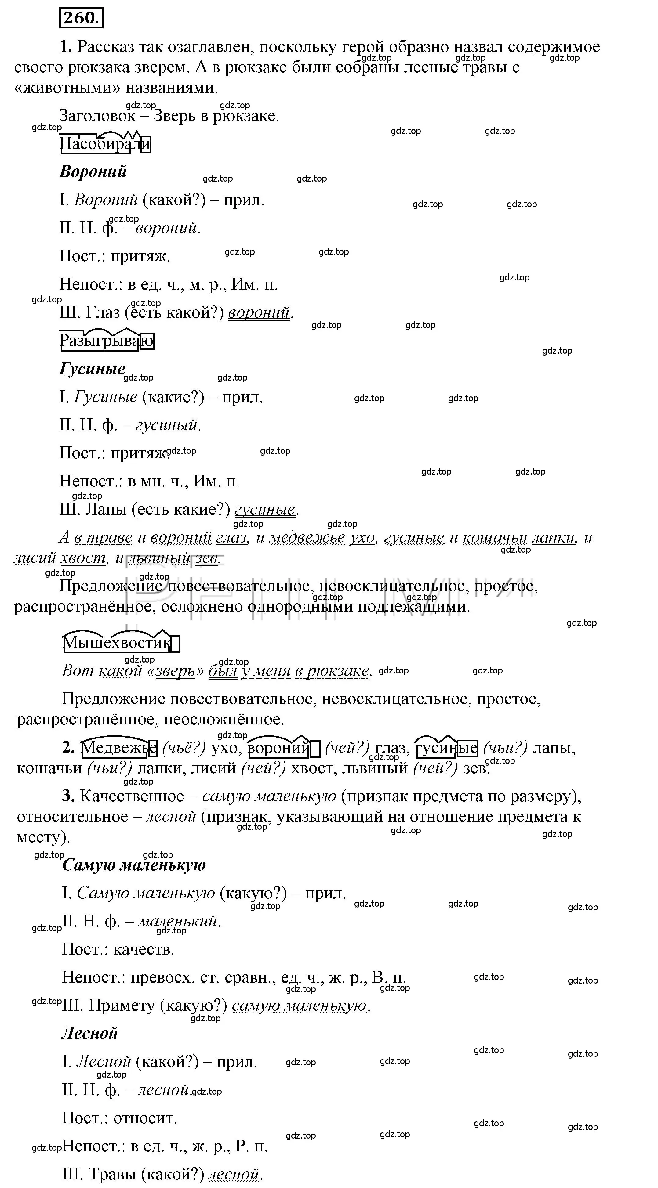Решение 2. номер 260 (страница 207) гдз по русскому языку 6 класс Быстрова, Кибирева, учебник 1 часть