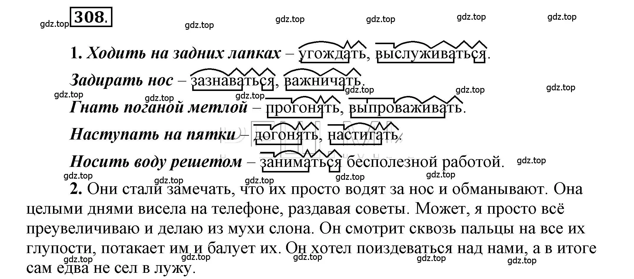 Решение 2. номер 308 (страница 241) гдз по русскому языку 6 класс Быстрова, Кибирева, учебник 1 часть