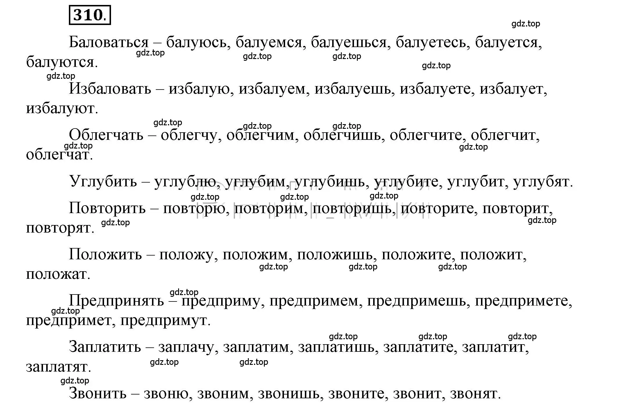 Решение 2. номер 310 (страница 242) гдз по русскому языку 6 класс Быстрова, Кибирева, учебник 1 часть