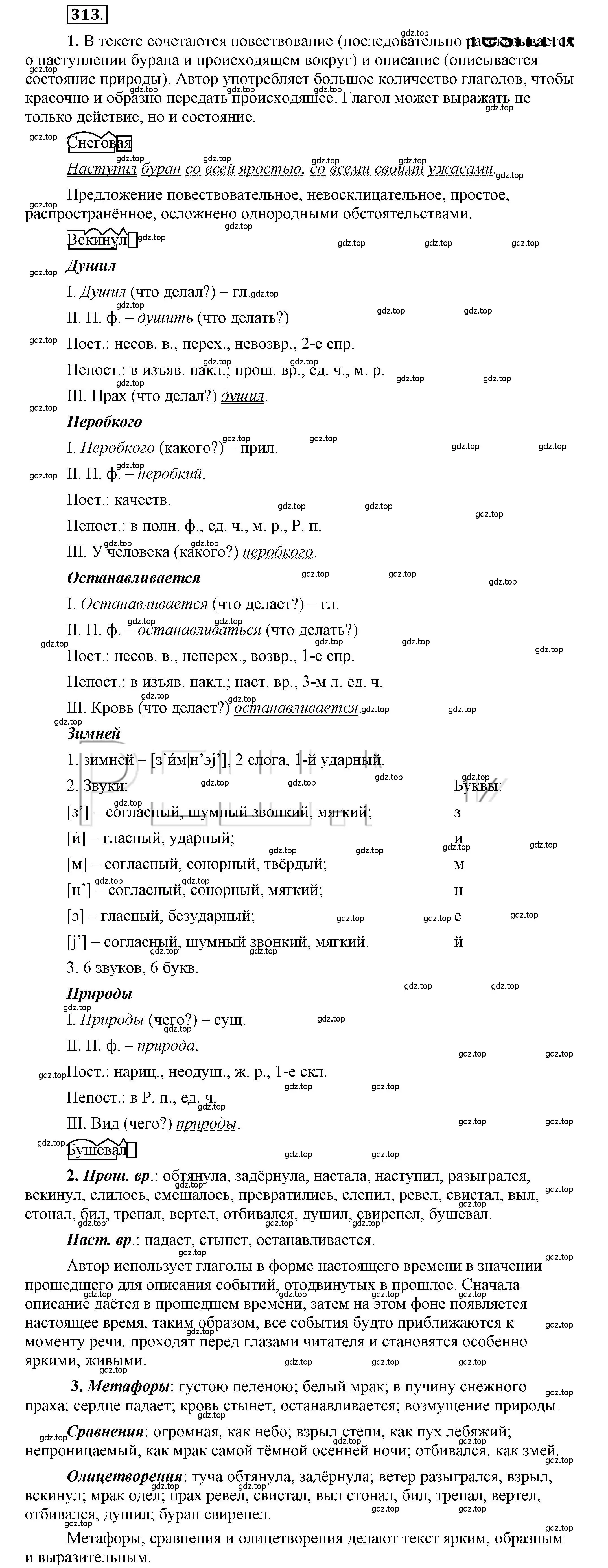 Решение 2. номер 313 (страница 243) гдз по русскому языку 6 класс Быстрова, Кибирева, учебник 1 часть