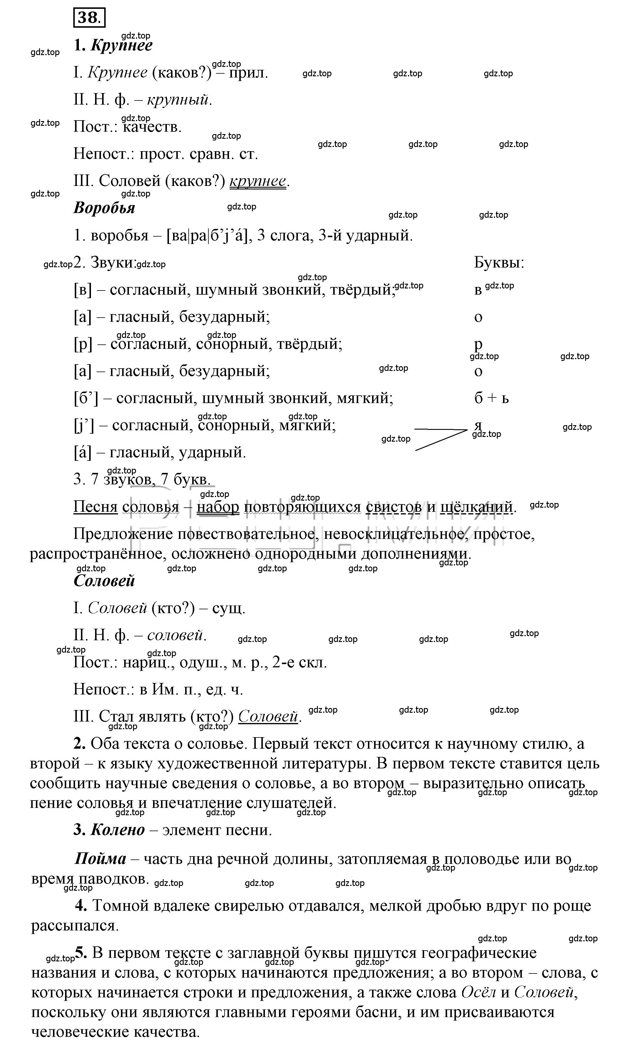 Решение 2. номер 38 (страница 45) гдз по русскому языку 6 класс Быстрова, Кибирева, учебник 1 часть