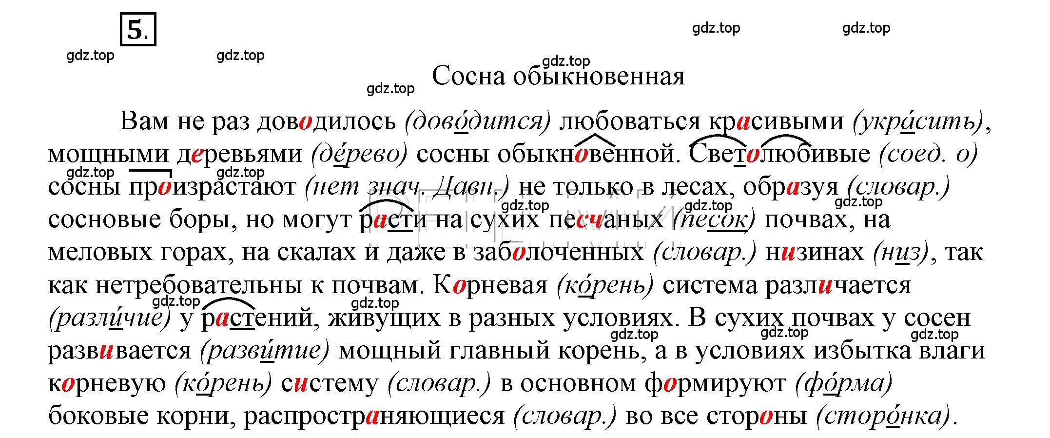 Решение 2. номер 5 (страница 7) гдз по русскому языку 6 класс Быстрова, Кибирева, учебник 1 часть