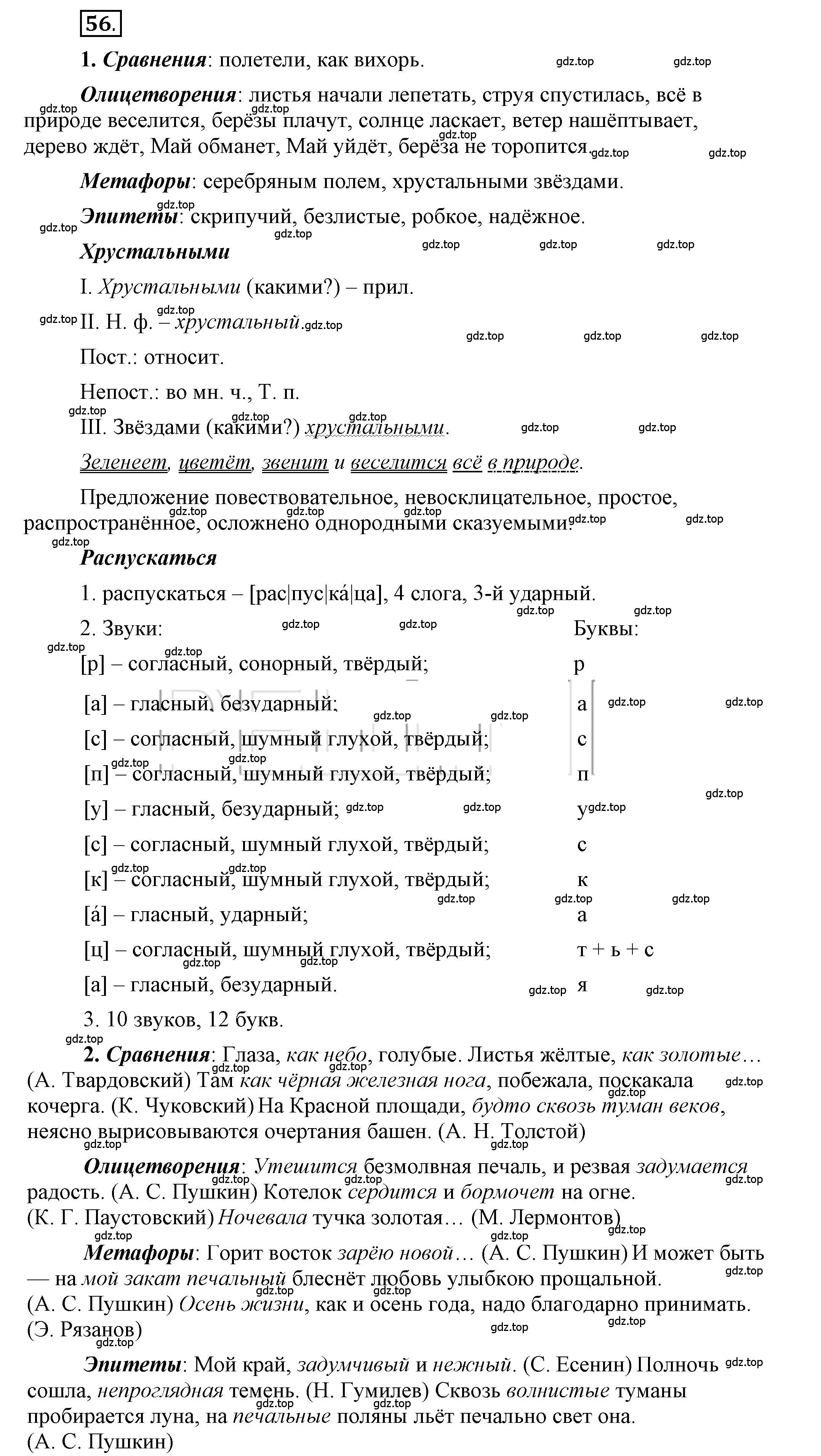 Решение 2. номер 56 (страница 66) гдз по русскому языку 6 класс Быстрова, Кибирева, учебник 1 часть