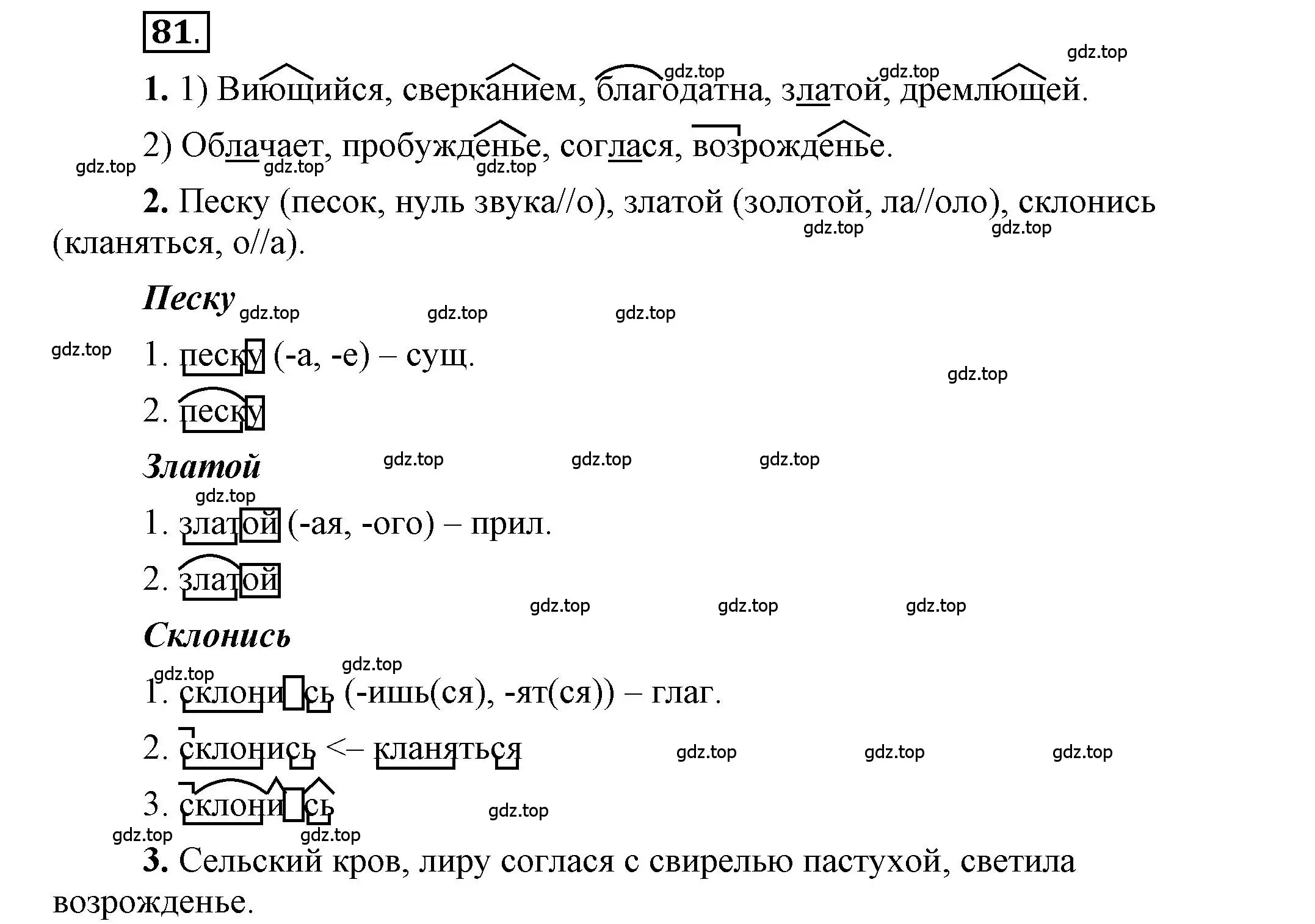 Решение 2. номер 81 (страница 84) гдз по русскому языку 6 класс Быстрова, Кибирева, учебник 1 часть