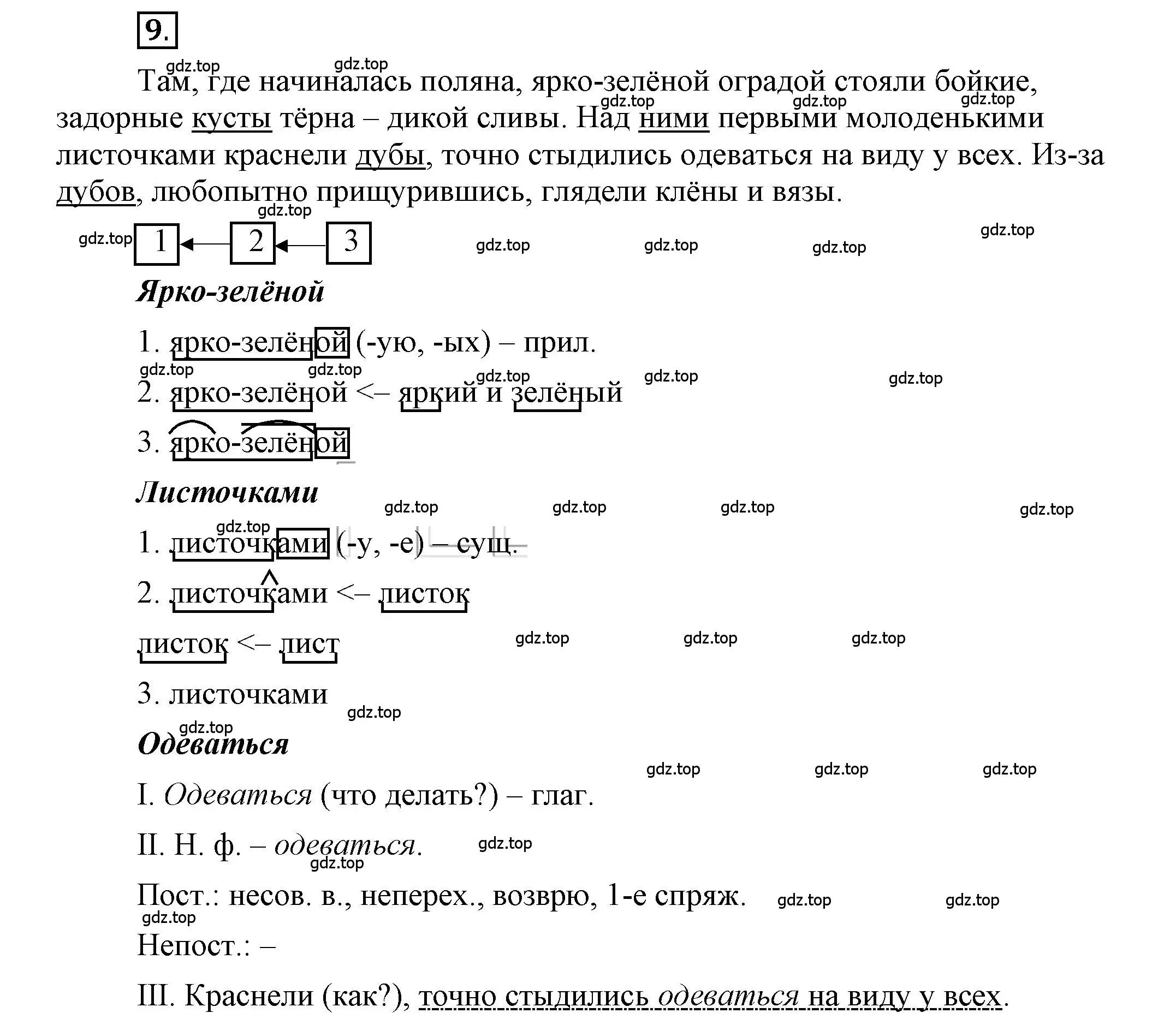 Решение 2. номер 9 (страница 12) гдз по русскому языку 6 класс Быстрова, Кибирева, учебник 1 часть