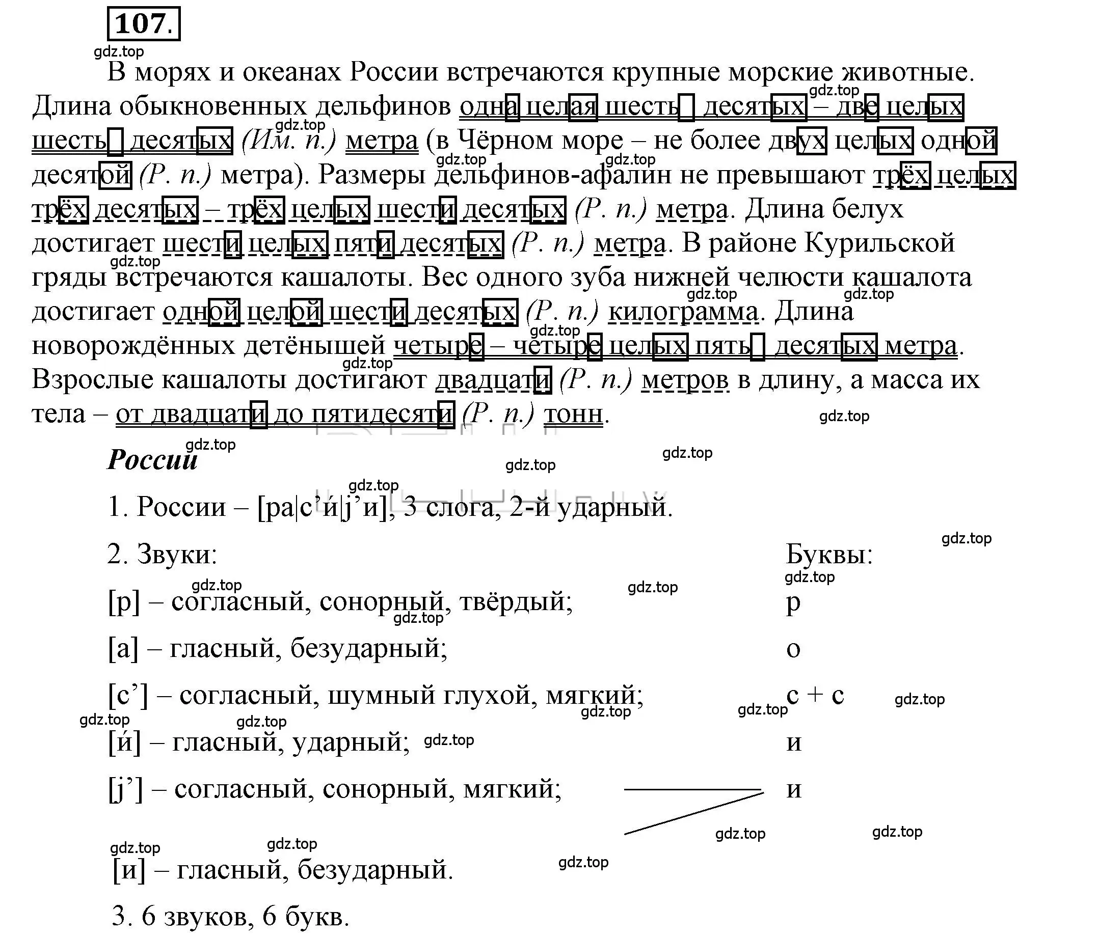 Решение 2. номер 107 (страница 83) гдз по русскому языку 6 класс Быстрова, Кибирева, учебник 2 часть