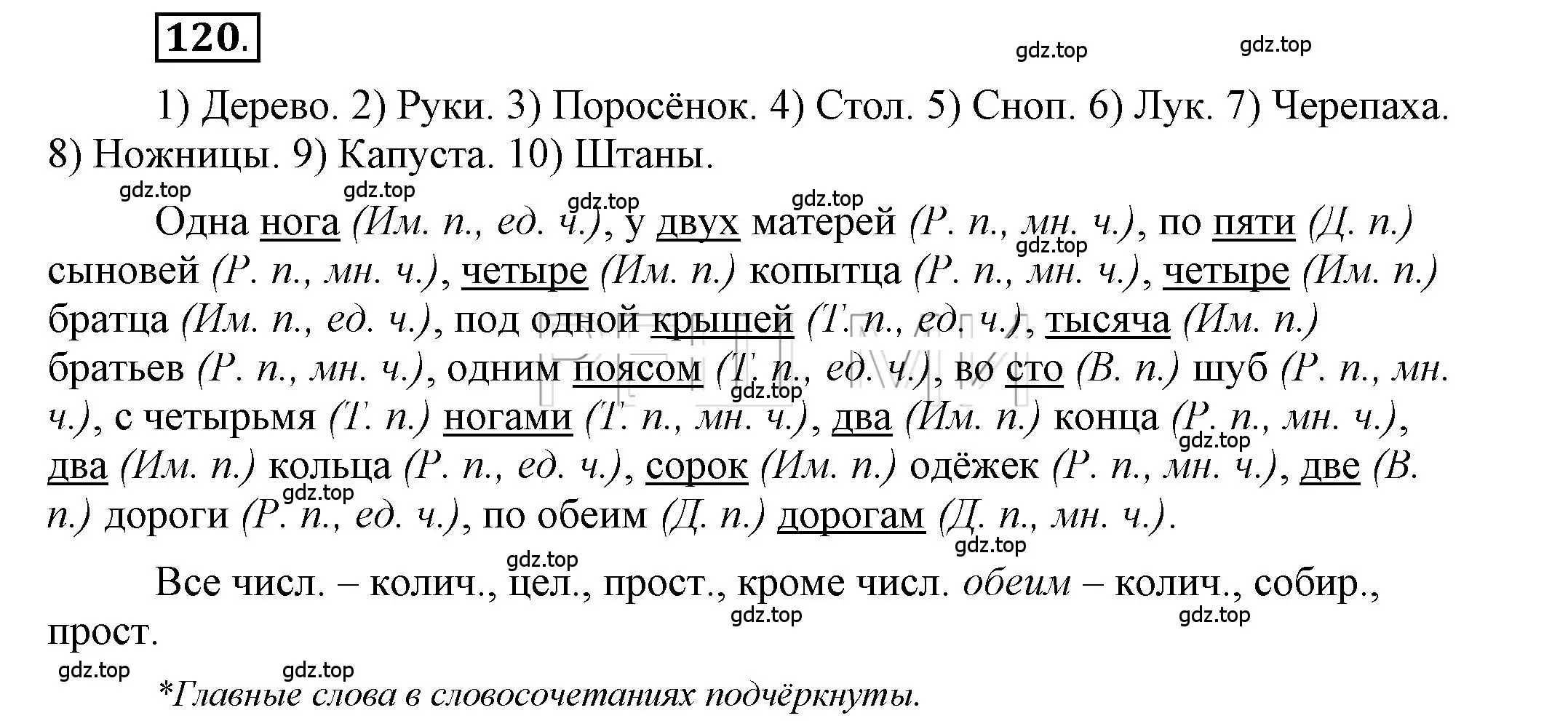 Решение 2. номер 120 (страница 94) гдз по русскому языку 6 класс Быстрова, Кибирева, учебник 2 часть