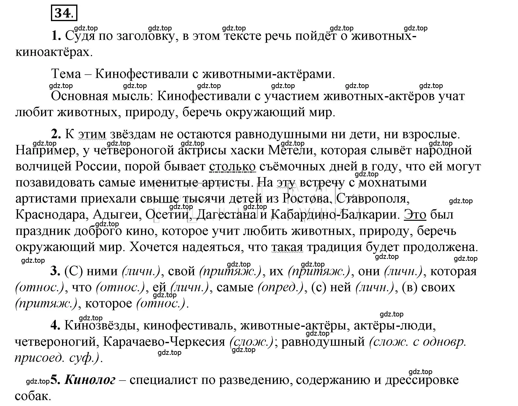 Решение 2. номер 34 (страница 30) гдз по русскому языку 6 класс Быстрова, Кибирева, учебник 2 часть