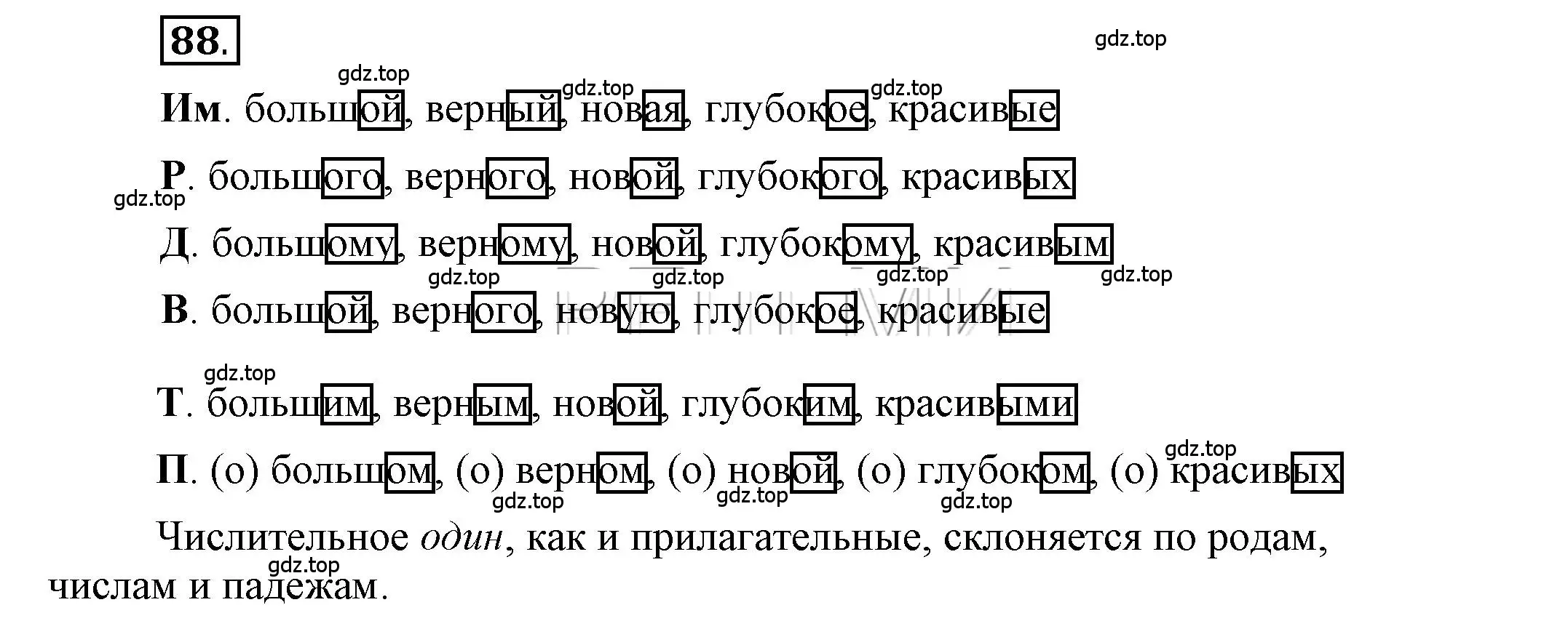 Решение 2. номер 88 (страница 71) гдз по русскому языку 6 класс Быстрова, Кибирева, учебник 2 часть