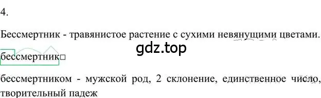 Решение 3. номер 4 (страница 138) гдз по русскому языку 6 класс Быстрова, Кибирева, учебник 1 часть