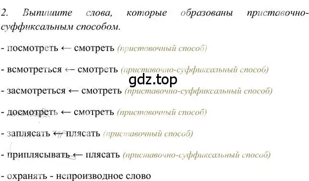 Решение 3. номер 2 (страница 163) гдз по русскому языку 6 класс Быстрова, Кибирева, учебник 1 часть