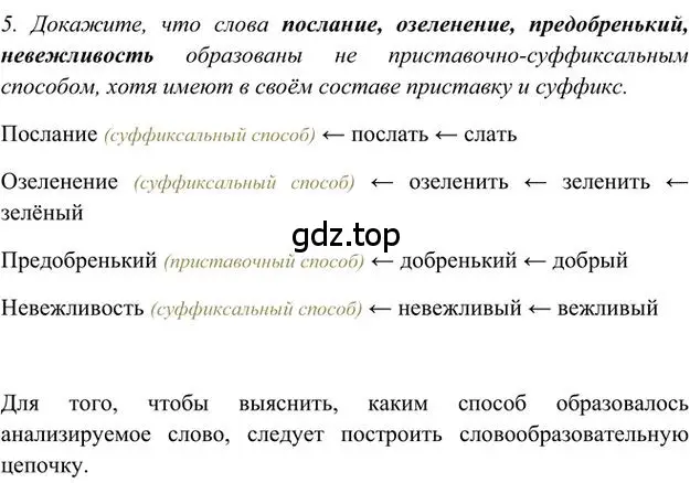 Решение 3. номер 5 (страница 174) гдз по русскому языку 6 класс Быстрова, Кибирева, учебник 1 часть