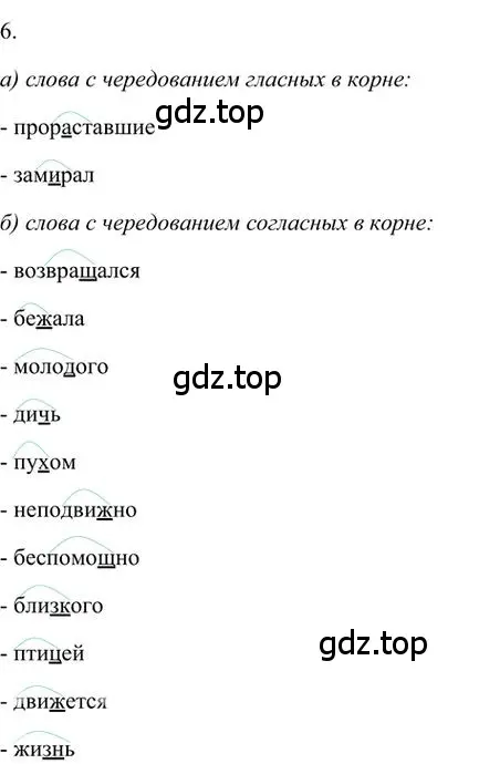 Решение 3. номер 6 (страница 175) гдз по русскому языку 6 класс Быстрова, Кибирева, учебник 1 часть