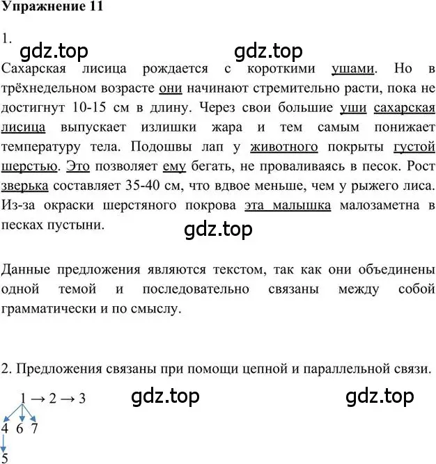 Решение 3. номер 11 (страница 13) гдз по русскому языку 6 класс Быстрова, Кибирева, учебник 1 часть