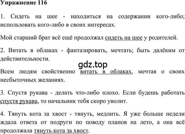 Решение 3. номер 116 (страница 118) гдз по русскому языку 6 класс Быстрова, Кибирева, учебник 1 часть