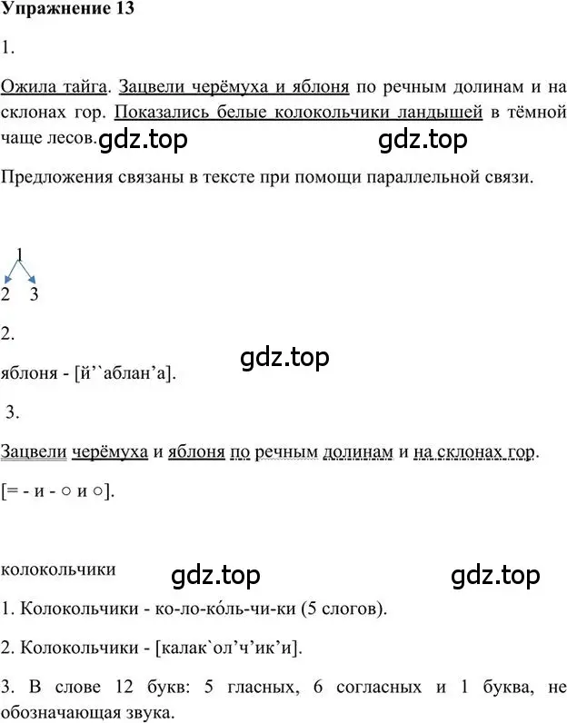 Решение 3. номер 13 (страница 14) гдз по русскому языку 6 класс Быстрова, Кибирева, учебник 1 часть