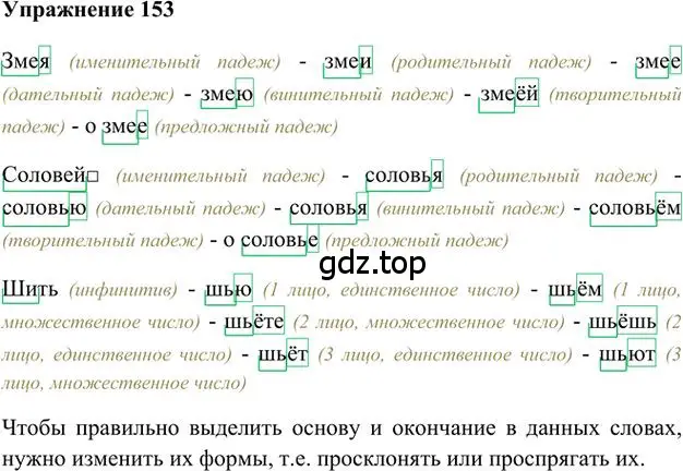 Решение 3. номер 153 (страница 137) гдз по русскому языку 6 класс Быстрова, Кибирева, учебник 1 часть