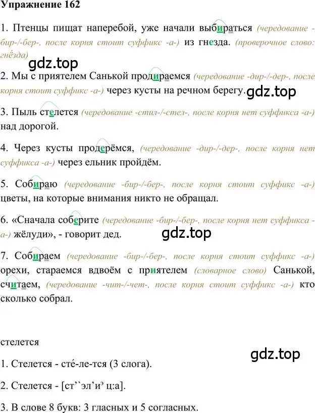 Решение 3. номер 162 (страница 143) гдз по русскому языку 6 класс Быстрова, Кибирева, учебник 1 часть