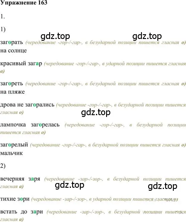 Решение 3. номер 163 (страница 143) гдз по русскому языку 6 класс Быстрова, Кибирева, учебник 1 часть