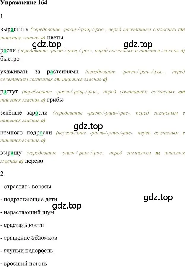 Решение 3. номер 164 (страница 144) гдз по русскому языку 6 класс Быстрова, Кибирева, учебник 1 часть