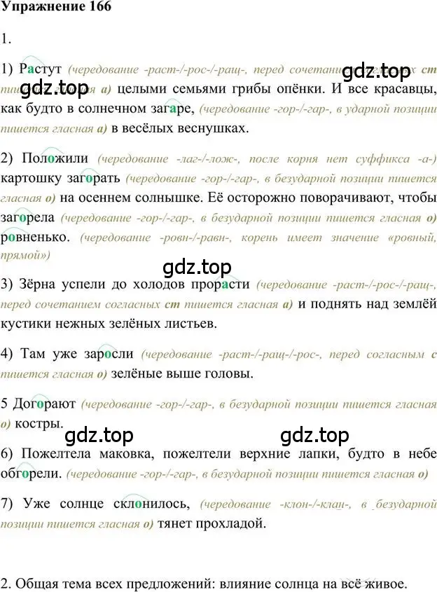 Решение 3. номер 166 (страница 145) гдз по русскому языку 6 класс Быстрова, Кибирева, учебник 1 часть