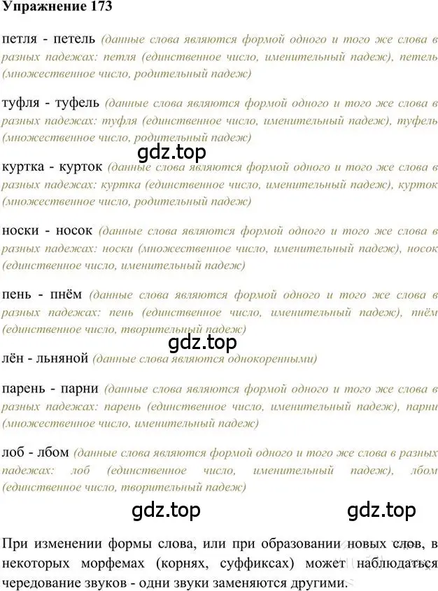 Решение 3. номер 173 (страница 147) гдз по русскому языку 6 класс Быстрова, Кибирева, учебник 1 часть