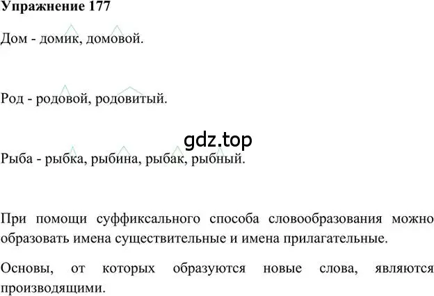 Решение 3. номер 177 (страница 151) гдз по русскому языку 6 класс Быстрова, Кибирева, учебник 1 часть