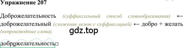 Решение 3. номер 207 (страница 169) гдз по русскому языку 6 класс Быстрова, Кибирева, учебник 1 часть