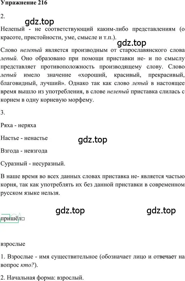 Решение 3. номер 216 (страница 173) гдз по русскому языку 6 класс Быстрова, Кибирева, учебник 1 часть