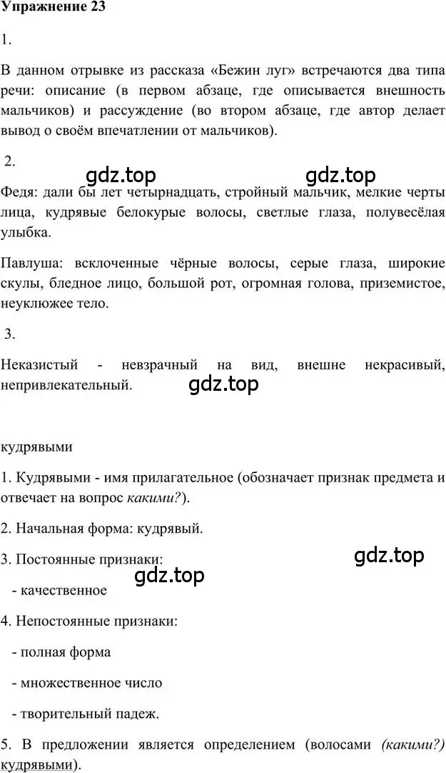 Решение 3. номер 23 (страница 24) гдз по русскому языку 6 класс Быстрова, Кибирева, учебник 1 часть