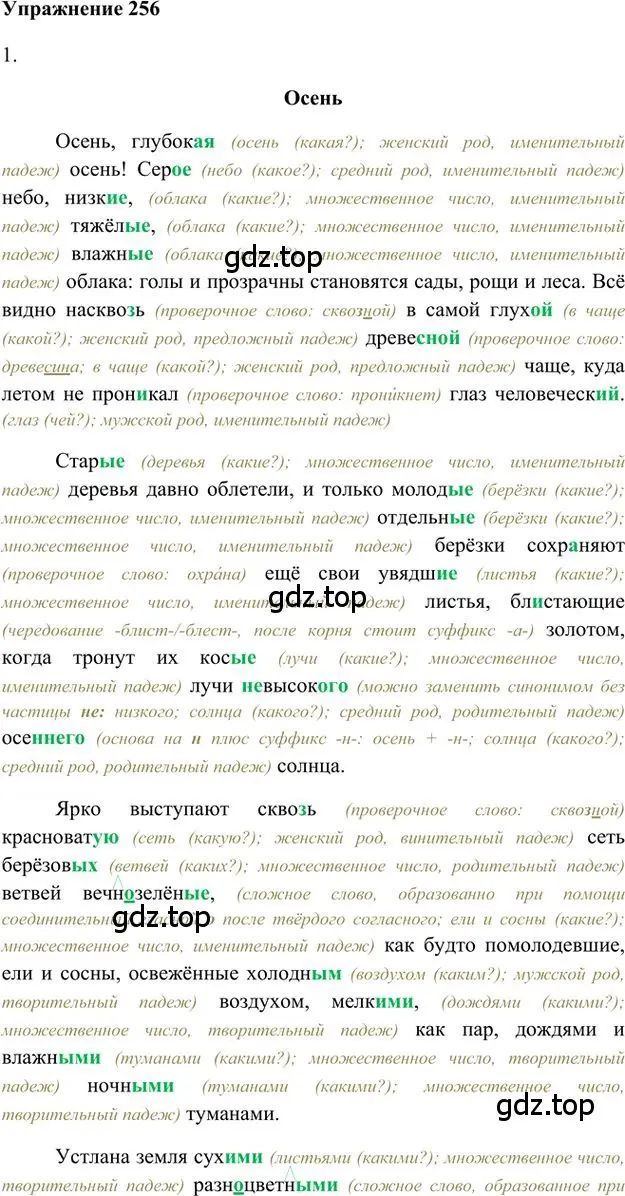 Решение 3. номер 256 (страница 204) гдз по русскому языку 6 класс Быстрова, Кибирева, учебник 1 часть