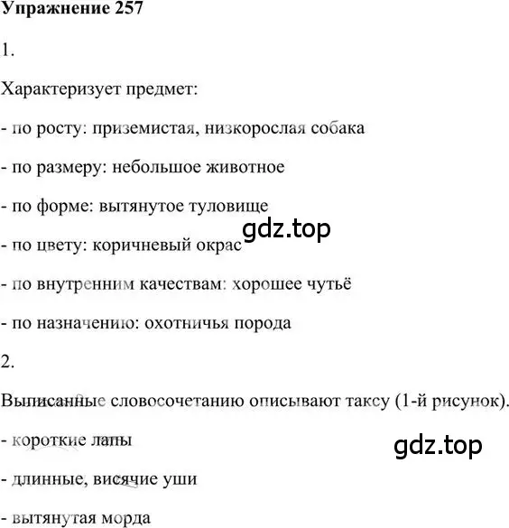 Решение 3. номер 257 (страница 205) гдз по русскому языку 6 класс Быстрова, Кибирева, учебник 1 часть