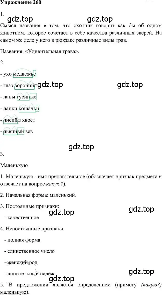 Решение 3. номер 260 (страница 207) гдз по русскому языку 6 класс Быстрова, Кибирева, учебник 1 часть