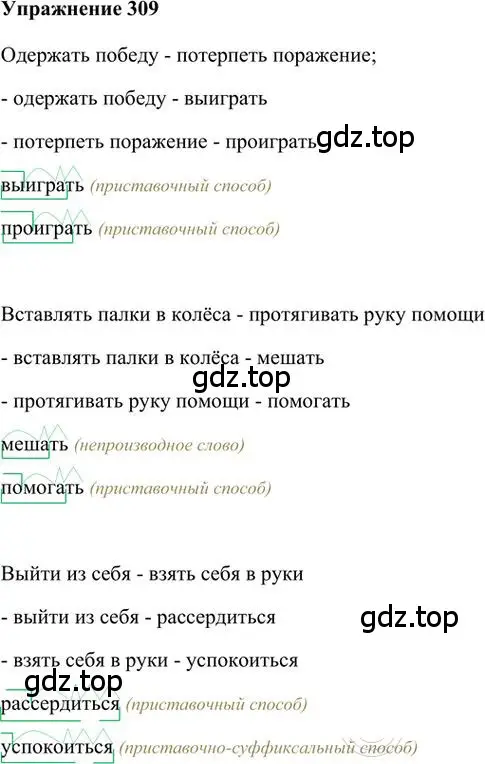 Решение 3. номер 309 (страница 241) гдз по русскому языку 6 класс Быстрова, Кибирева, учебник 1 часть