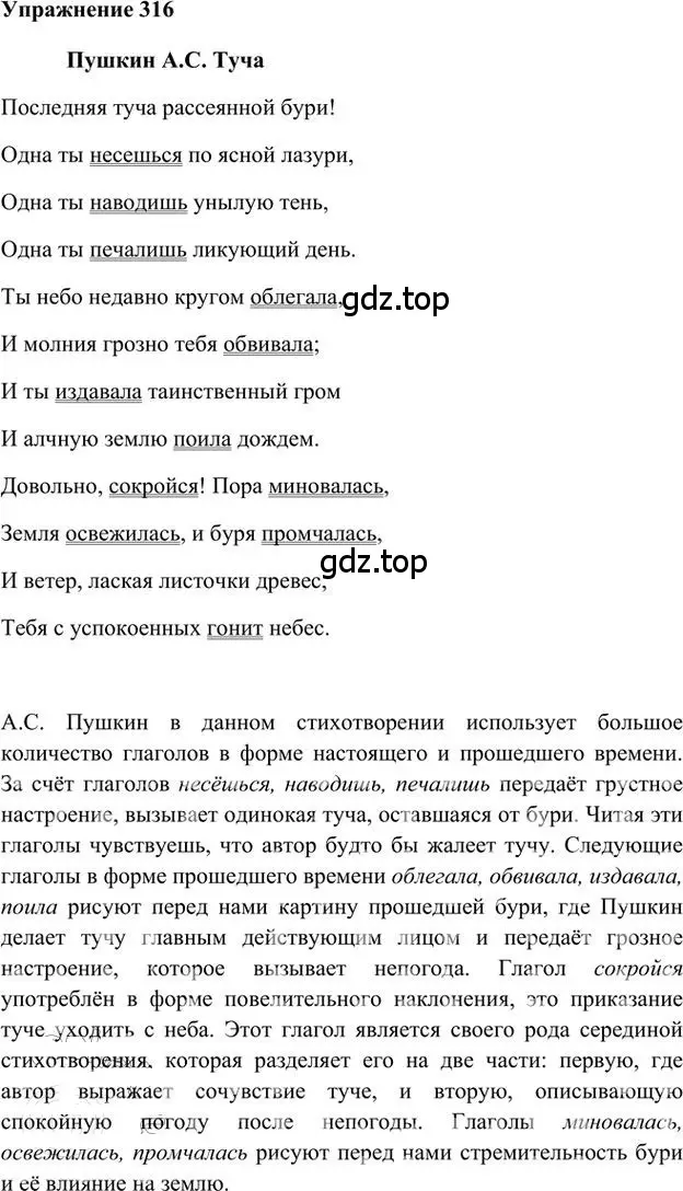 Решение 3. номер 316 (страница 246) гдз по русскому языку 6 класс Быстрова, Кибирева, учебник 1 часть