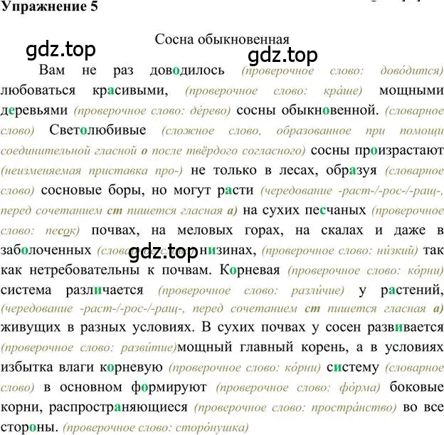 Решение 3. номер 5 (страница 7) гдз по русскому языку 6 класс Быстрова, Кибирева, учебник 1 часть