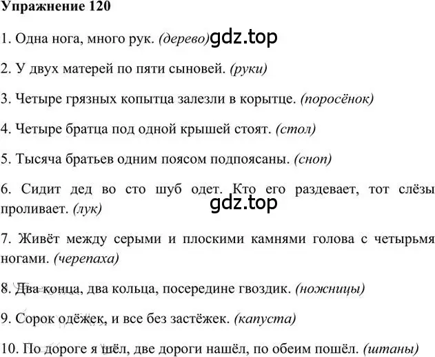 Решение 3. номер 120 (страница 94) гдз по русскому языку 6 класс Быстрова, Кибирева, учебник 2 часть