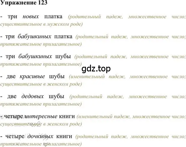 Решение 3. номер 123 (страница 96) гдз по русскому языку 6 класс Быстрова, Кибирева, учебник 2 часть