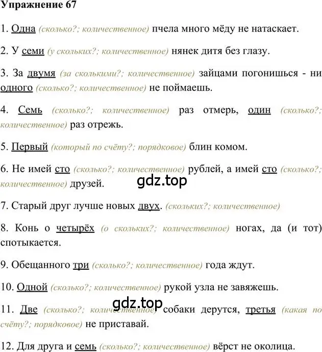 Решение 3. номер 67 (страница 56) гдз по русскому языку 6 класс Быстрова, Кибирева, учебник 2 часть