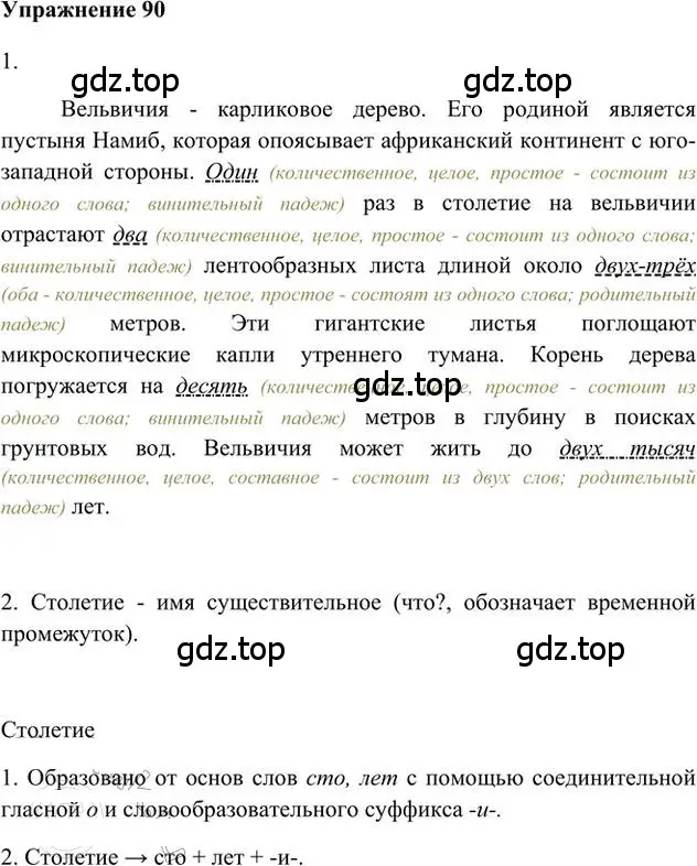 Решение 3. номер 90 (страница 73) гдз по русскому языку 6 класс Быстрова, Кибирева, учебник 2 часть