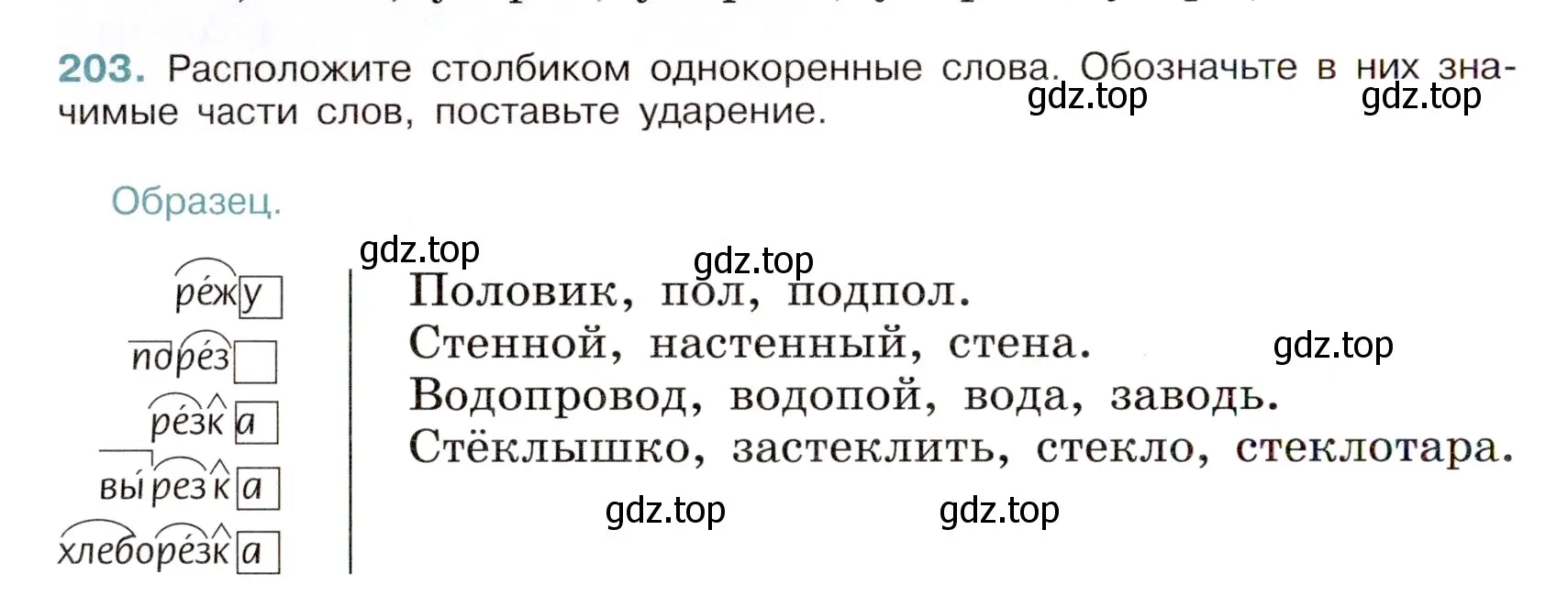 Условие номер 203 (страница 100) гдз по русскому языку 6 класс Баранов, Ладыженская, учебник 1 часть