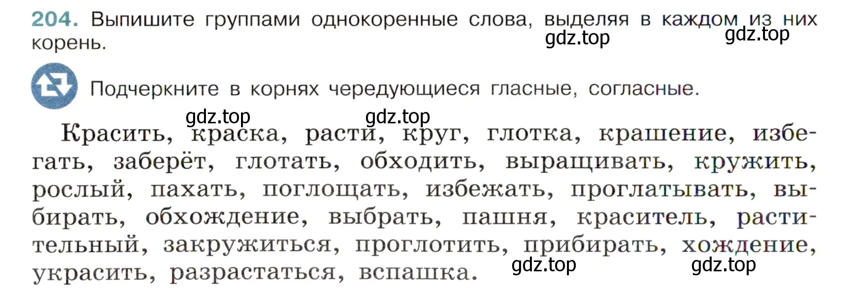 Условие номер 204 (страница 100) гдз по русскому языку 6 класс Баранов, Ладыженская, учебник 1 часть