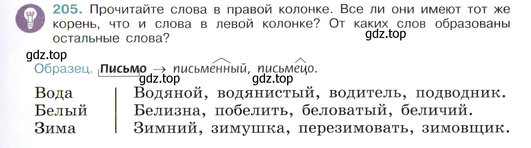 Условие номер 205 (страница 101) гдз по русскому языку 6 класс Баранов, Ладыженская, учебник 1 часть