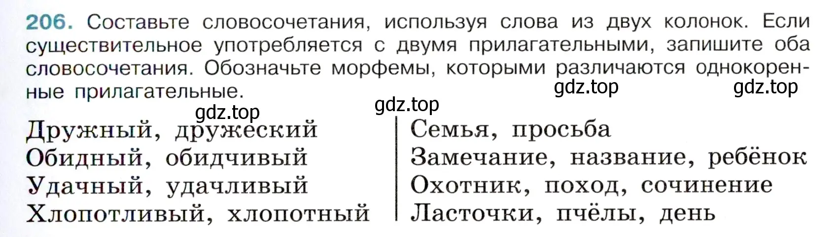 Условие номер 206 (страница 101) гдз по русскому языку 6 класс Баранов, Ладыженская, учебник 1 часть