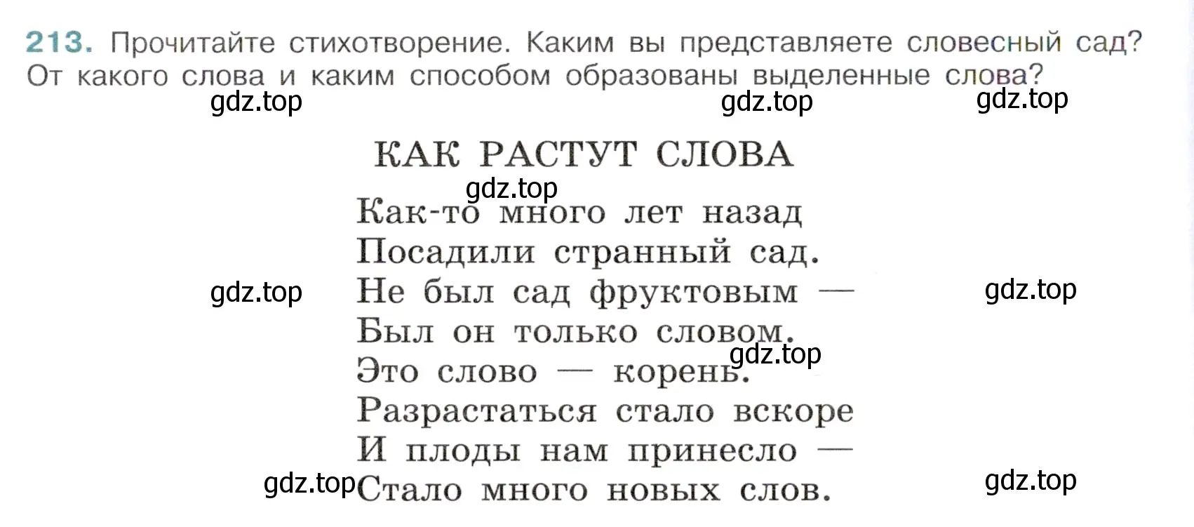 Условие номер 213 (страница 106) гдз по русскому языку 6 класс Баранов, Ладыженская, учебник 1 часть