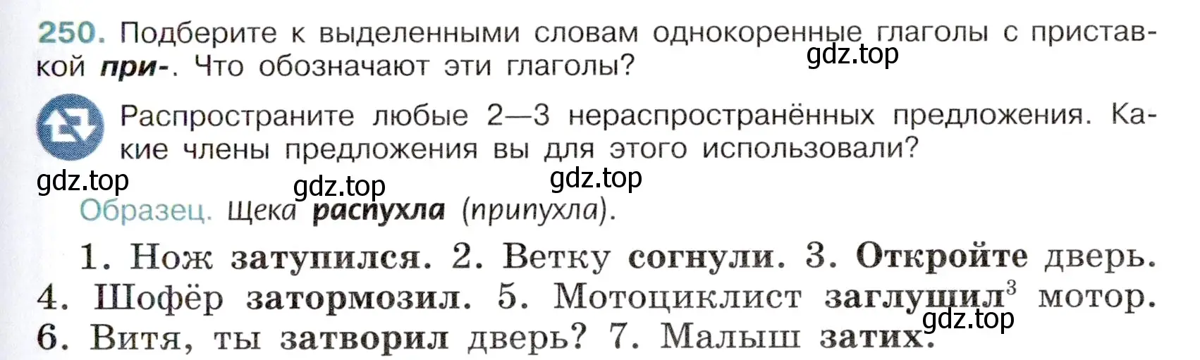 Условие номер 250 (страница 123) гдз по русскому языку 6 класс Баранов, Ладыженская, учебник 1 часть