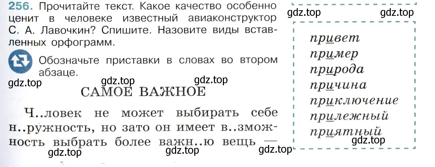 Условие номер 256 (страница 125) гдз по русскому языку 6 класс Баранов, Ладыженская, учебник 1 часть