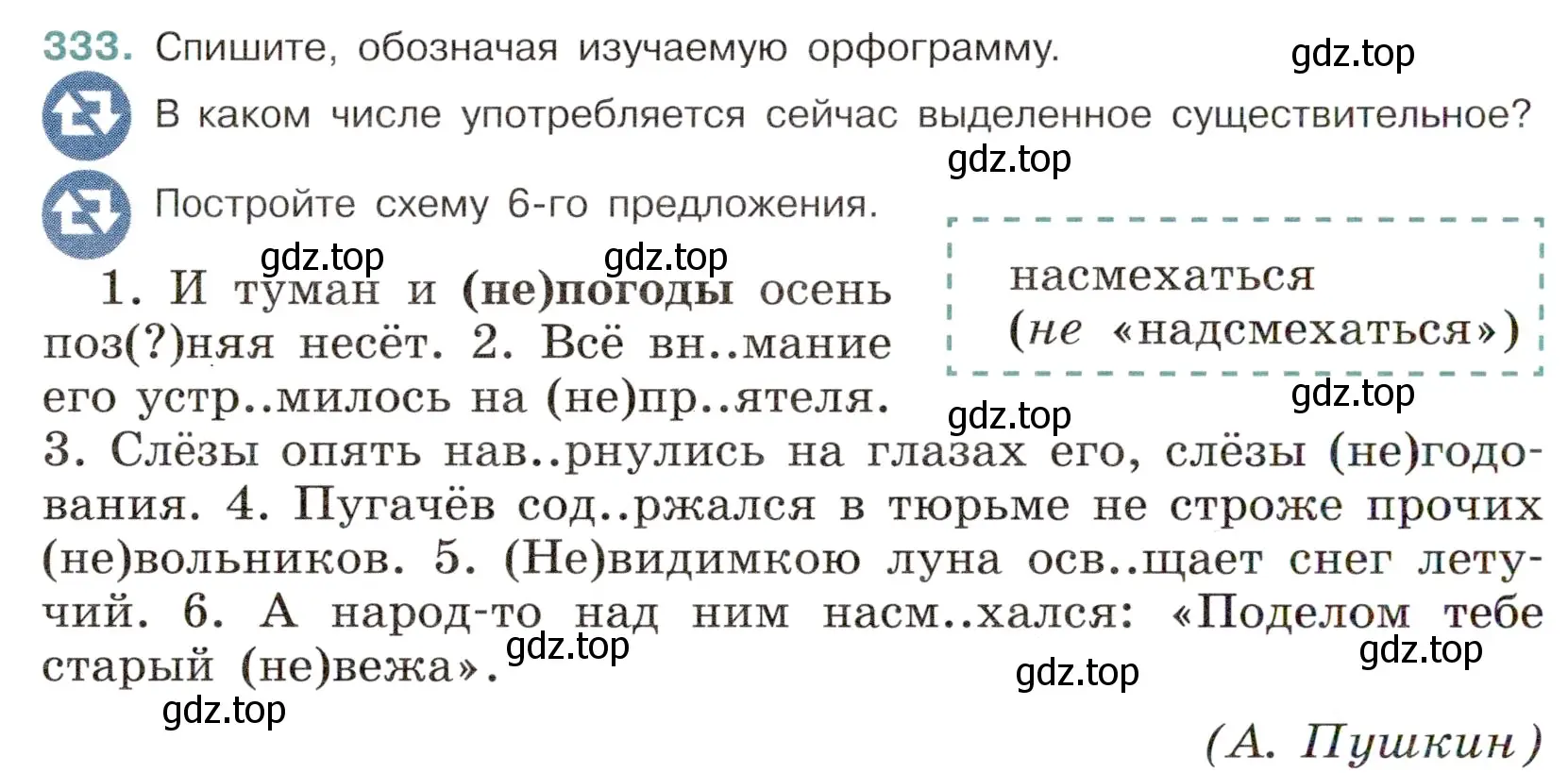 Условие номер 333 (страница 156) гдз по русскому языку 6 класс Баранов, Ладыженская, учебник 1 часть