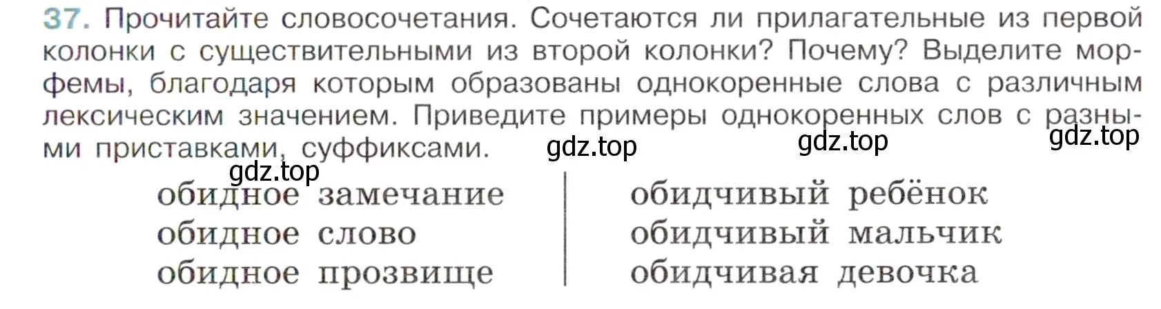 Условие номер 37 (страница 19) гдз по русскому языку 6 класс Баранов, Ладыженская, учебник 1 часть